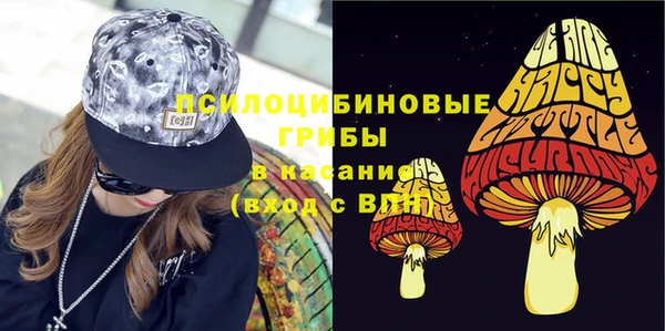 спиды Абаза